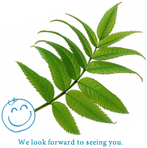 We look forward to seeing you.